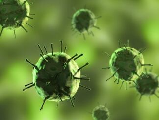 Bacteria causing diseases of mucousarms