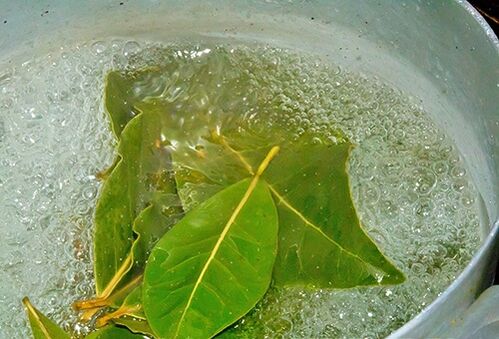 Bay leaf decoction for a soothing bath for potential problems