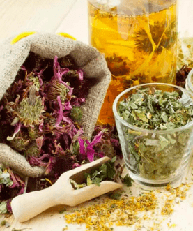 Herbs for potential