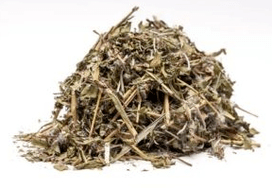 Ivan Tea