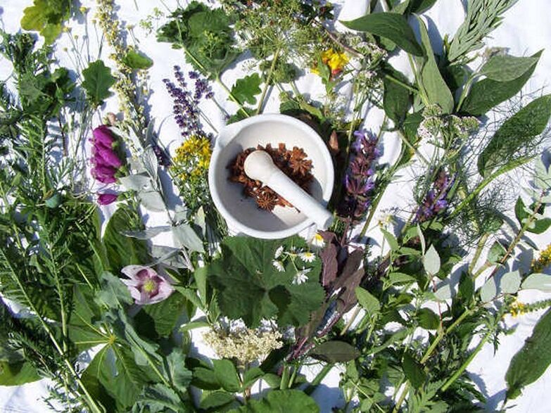 treatment of potency with herbs